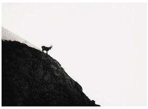 cc942feb-93d0-4fa5-8a66-f5c5fd1055a7