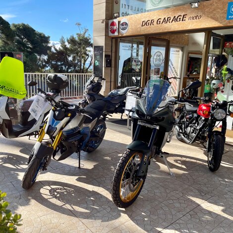 20220408_153517.jpeg 20220408_153517.jpeg