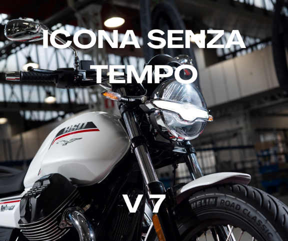 05558c33-10c2-4b00-afed-fba11679d473