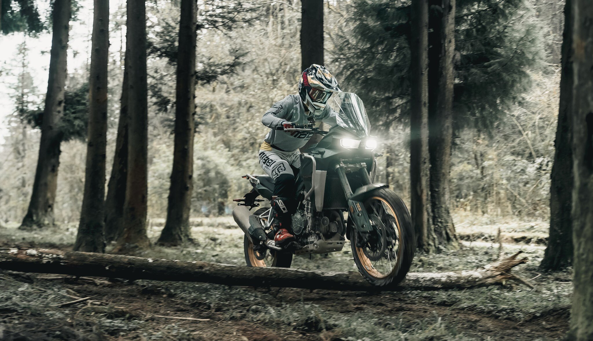 bb4c452f-6f48-4e9c-9340-e40244b5640b.jpg bb4c452f-6f48-4e9c-9340-e40244b5640b.jpg