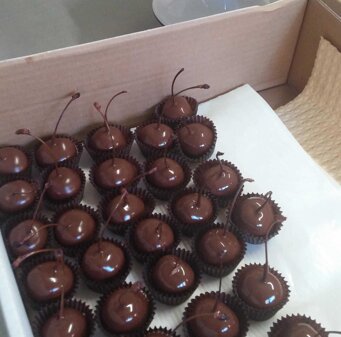 ciliege di vignola cioccolateria
