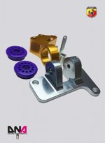 kit-fiat-500-abarth-supporto-motore-fast-road-lato-distribuzione-dna-racing-pc1494