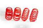 cobrasuspension-springs-tesla-model-3-rws-long-range
