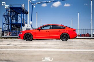 c81258bf-2426-4564-96d9-29559cb309c4