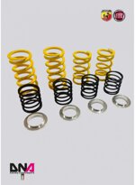 kit-molle-track-day-x-ammortizzatori-wrs-dna-racing-pc2109