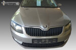 skoda-octavia-a7-1319-eyebrows-pre-facelift-motordome-fr000146