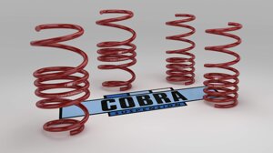 cobrasuspension-bmw-g21-320e330e