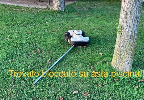 d13489b6-aa37-4139-bc32-072a072517b0 d13489b6-aa37-4139-bc32-072a072517b0