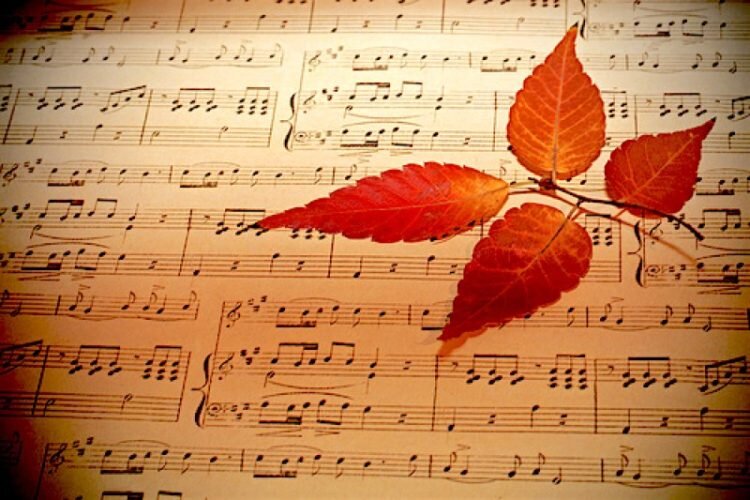 L' Autunno in Musica di Accamidea L' Autunno in Musica di Accamidea