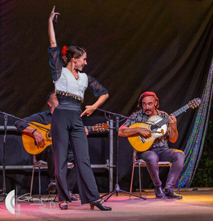 46963084-d234-45c5-88fb-d55a156a0ac7