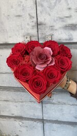 fv-heart-box-con-rose-rosse-stabilizzate-e-profumatore-muha
