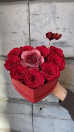 fv-heart-box-con-rose-rosse-stabilizzate-e-profumatore-muha