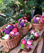 flower-basket