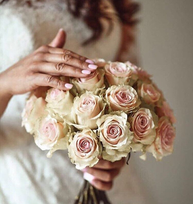 135e093f-ebff-43b5-a2a2-c084038430e7