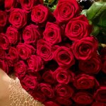 fv-red-roses-rose-rosse-top-quality