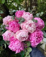 fv-peonies-bouquet