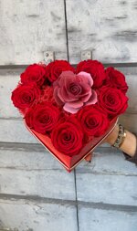 fv-heart-box-con-rose-rosse-stabilizzate-e-profumatore-muha