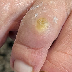 41e9ff62-87e9-4b8f-80e5-fd4e99eefb00