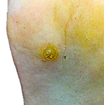 1b73946a-77d9-40cc-bc24-6d97c6c50ce7