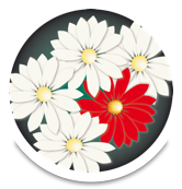 ad5b73ba-4338-4958-8cb2-b5dd5520fb64