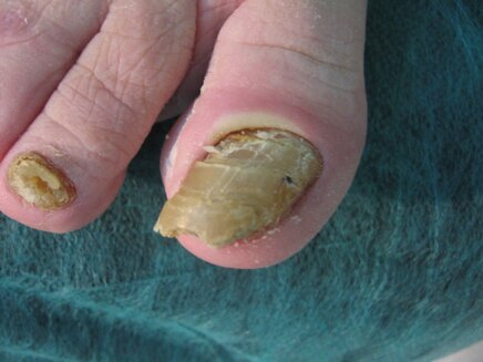 c0f71008-bfe4-4cac-87c8-e0971d58a3b4