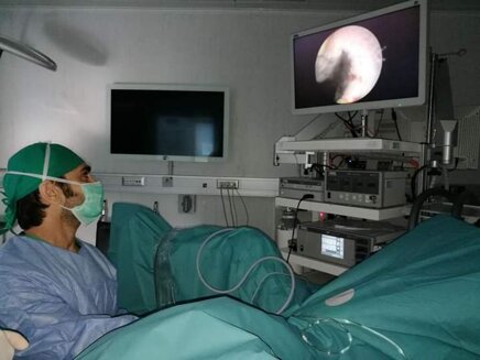 006eff23-b29d-402e-9622-034720469e1b