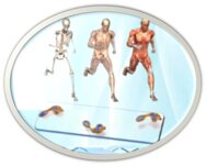 5e729e97-0268-4f8d-ba03-cc26770b94f6