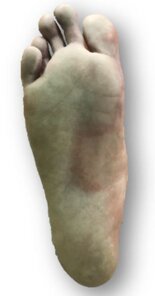 73a3179d-b818-4f6a-a64d-d45c8b7ec0e5