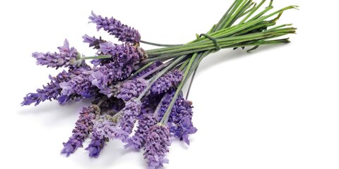 b3997f64-68fb-4fe4-8476-16b3452e8631