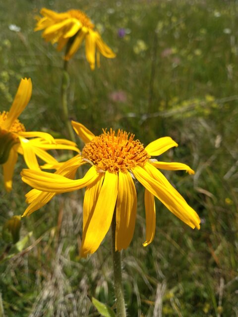 3ddc4766-ad99-4f11-b3c9-9d4bd24189b8