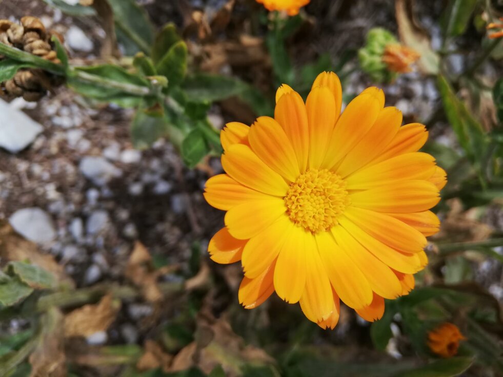 918da578-609e-47cc-a5d4-5499bb12e8c0