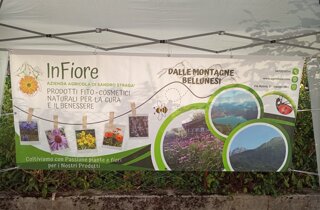 34208_c43b32f3dbbcc3d5b9fb70272e522f62917bbde4