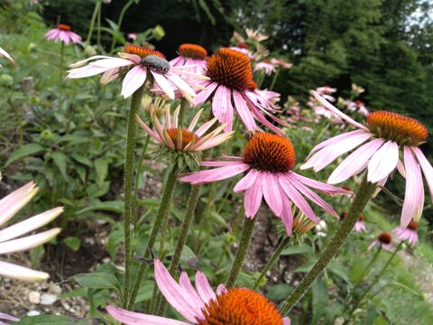 04fccce1-e939-4309-b8d6-19838cf54e61