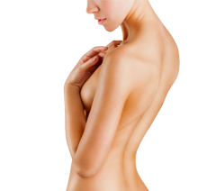 e372f42b-41a3-40a1-88a5-3595bc746b58