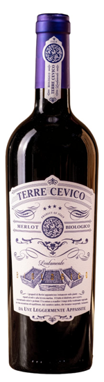 merlot-rubicone-igp-biologico