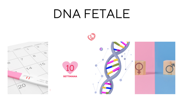 bf1711de-2a44-42c3-b184-23df4b46dc56