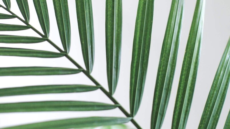 default_image-3 default_image-3