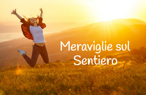 f9085b6d-5423-4d21-aec9-7aaa5947ad83