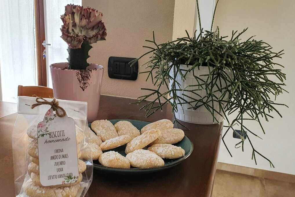 Vassoio di biscotti fatti in casa e sacchetto regalo da asporto sul bancone della cucina di Villa Malvasio Vassoio di biscotti fatti in casa e sacchetto regalo da asporto sul bancone della cucina di Villa Malvasio