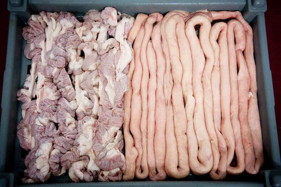 Ziminada ricca - Sa Chuchina Sarda