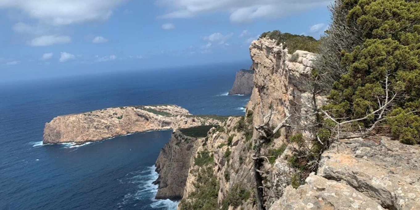 129-percorso_mozzafiato_scogliera_per_arrivare_torre_della_pegna_villa_malvasio.jpeg Sentiero per la Torre della Pegna: passaggio per escursionisti esperti lungo il costone di roccia a strapiombo sul mare nel Nord-Ovest della Sardegna.