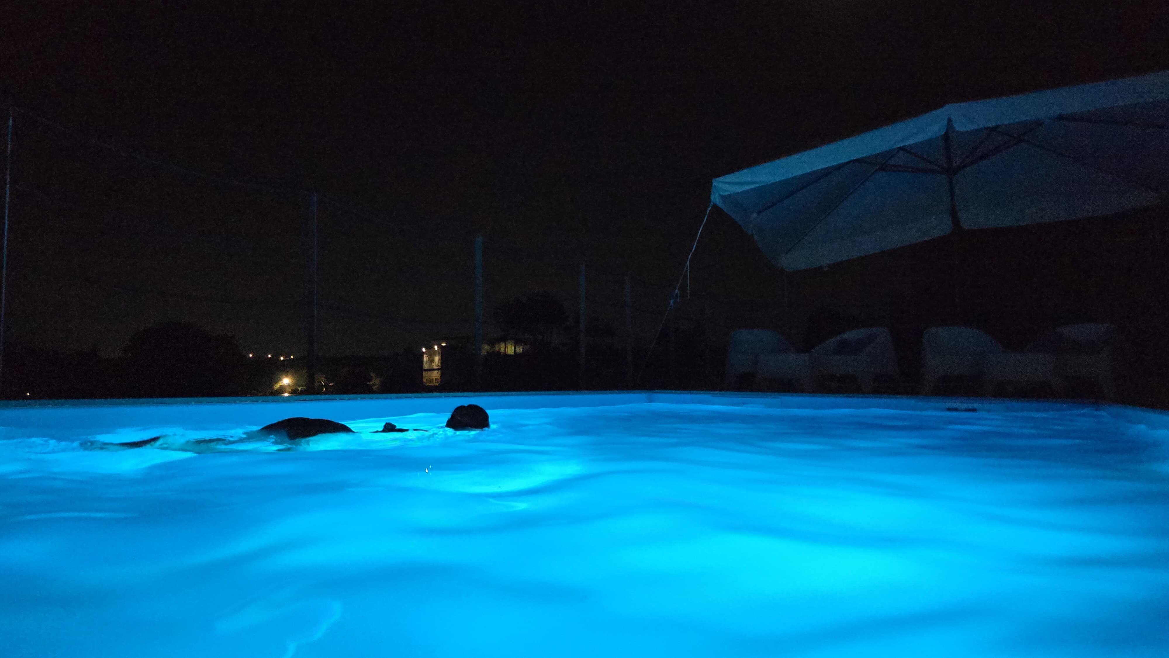 5368edde-d948-407b-a8d6-9f8178a37d3c.jpeg Donna si rilassa nuotando di notte nella piscina esterna di Villa Malvasio a Sassari, avvolta da un’elegante luce azzurra.