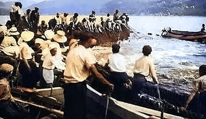 tonnara-stintino-barche-pesca-antiche.jpeg Antiche barche della Tonnara di Stintino nel Golfo dell'Asinara.