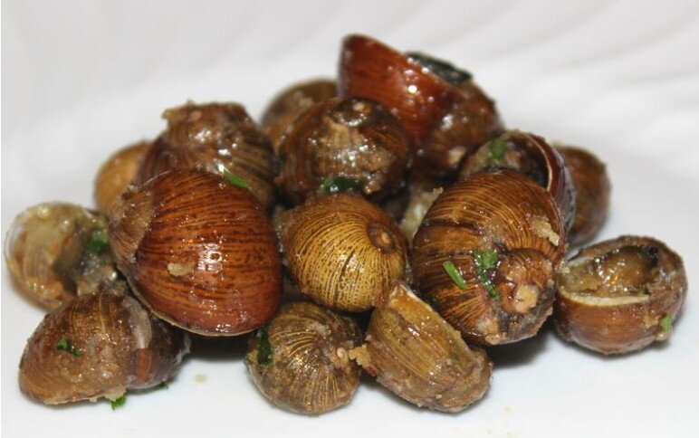 monzette-zia-forica-sassari.jpeg Piatto di gustose monzette arrosto, le tradizionali lumachine sarde preparate secondo l’antica ricetta popolare dal ristorante Zia Forica a Sassari.
