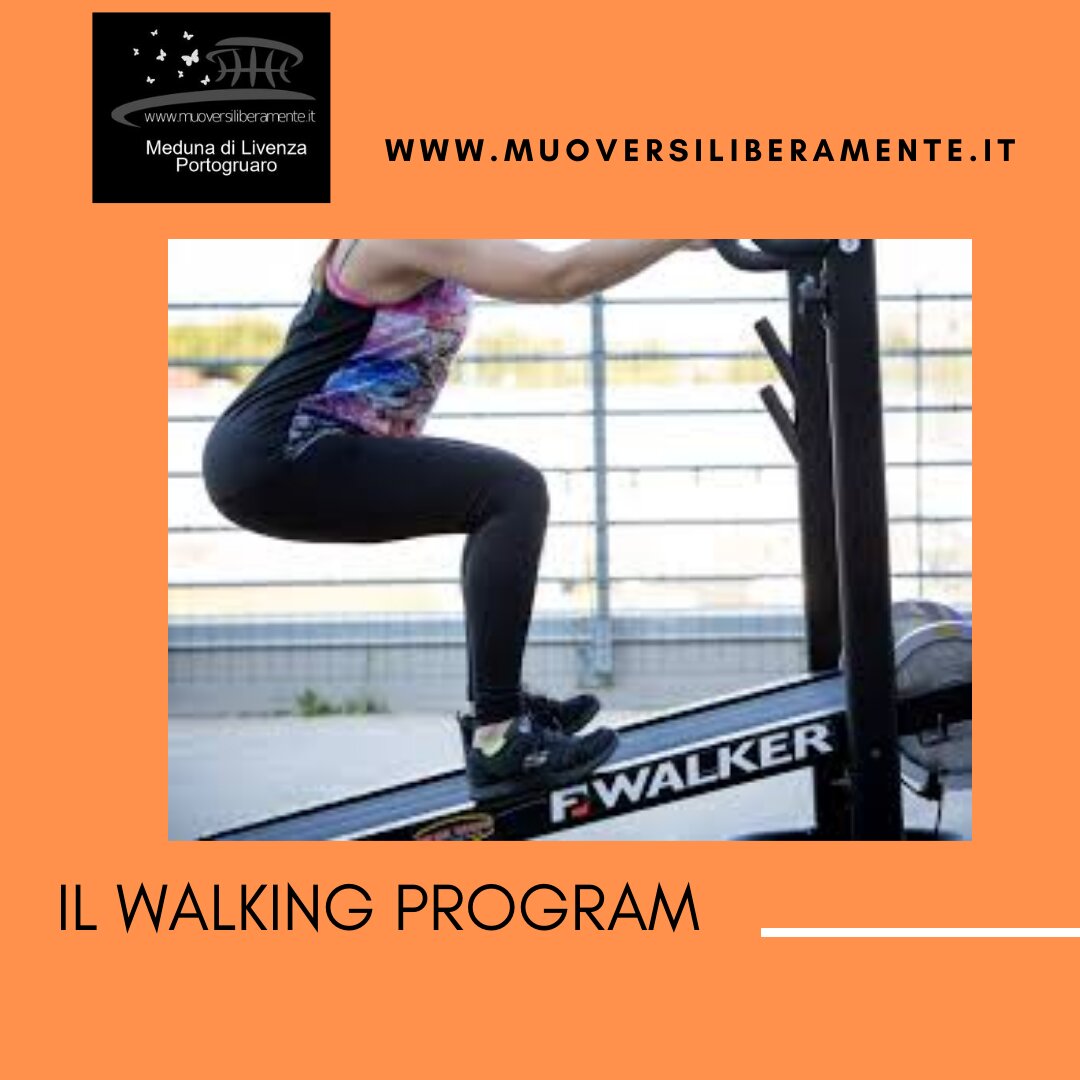 Il Walking Program