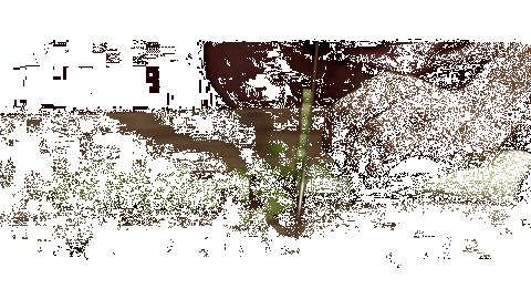 732x.gif