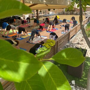 fb3f77d8-d01a-4b3d-b413-a044a9777a36 fb3f77d8-d01a-4b3d-b413-a044a9777a36