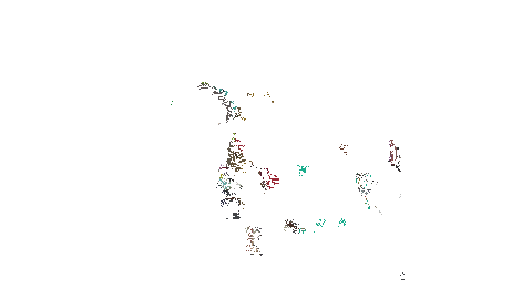 giphy.gif