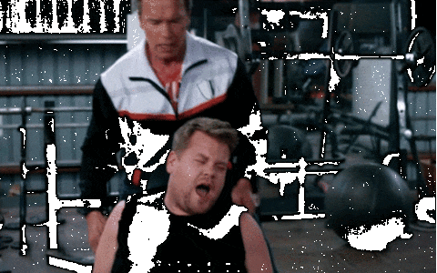 giphy.gif