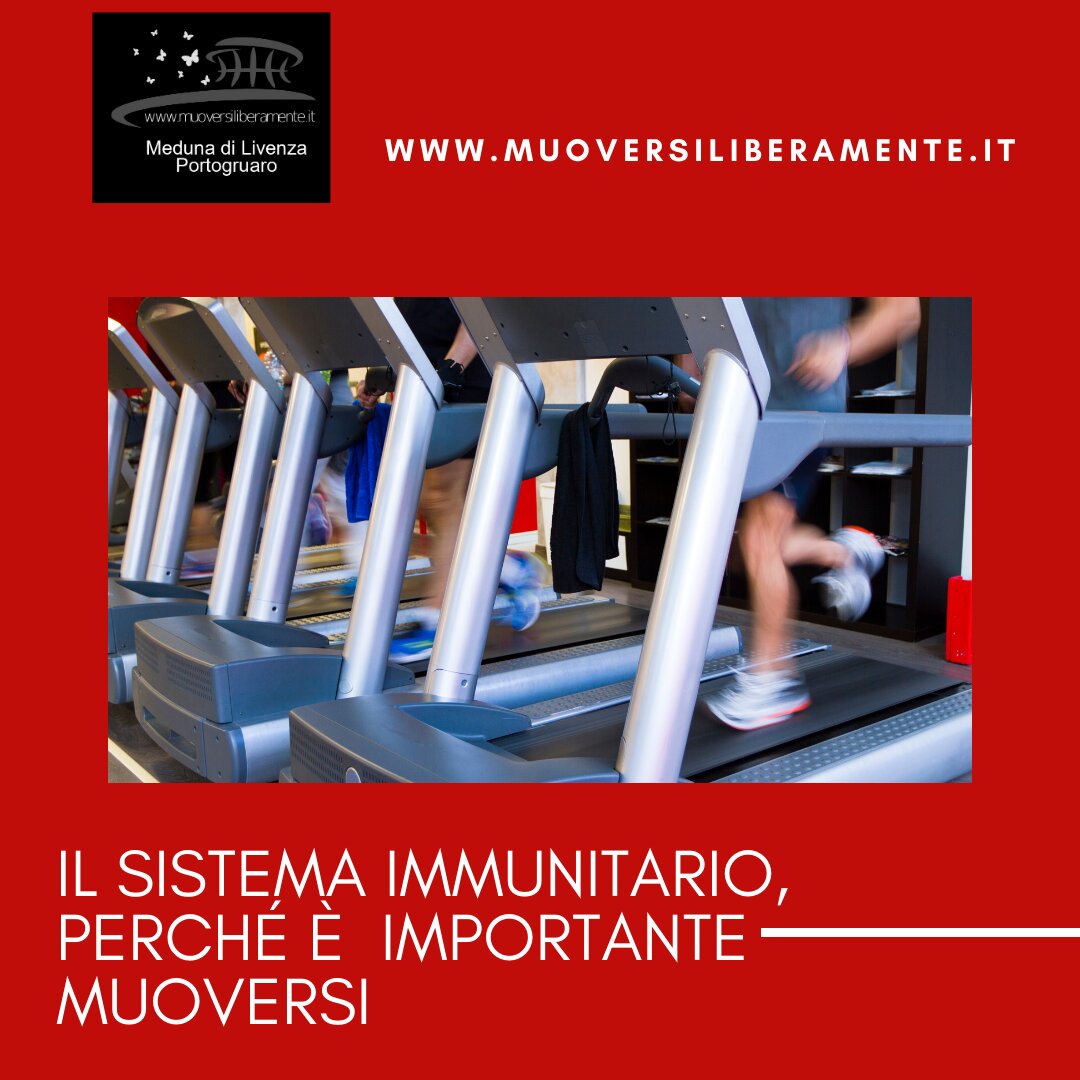 Il sistema immunitario, perch&eacute; &egrave; importante MUOVERSI